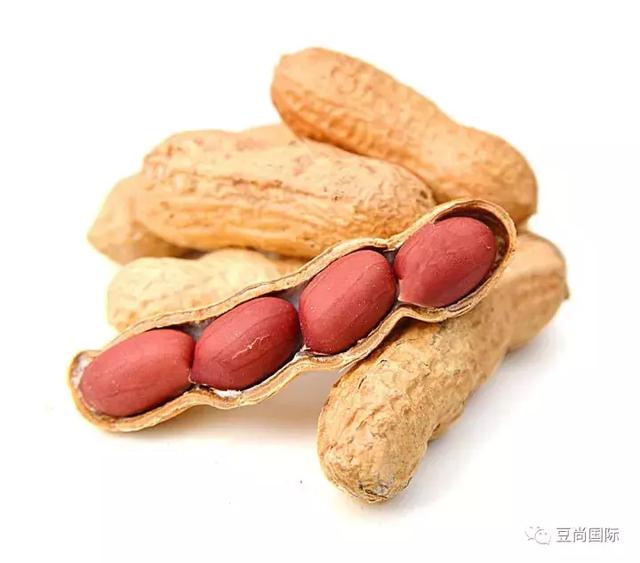 爱长痘痘是因为缺少维生素？
