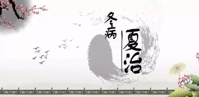 痘尚带您了解冬病夏治原理